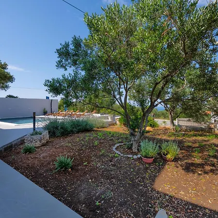 Amazing In With Wifi *