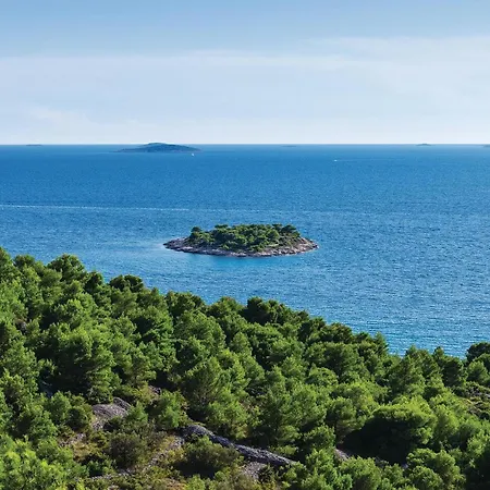 Amazing In With Wifi ムルテル