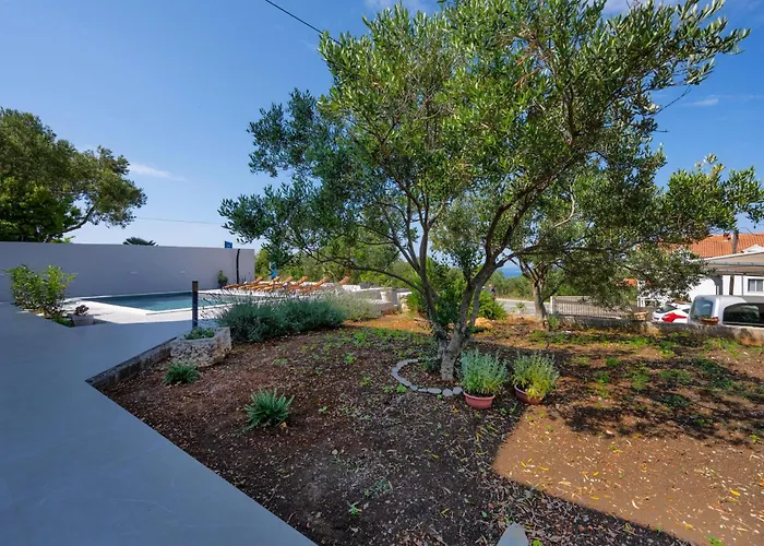 Amazing In With Wifi *