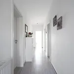 Apartmán Amazing In With Wifi *