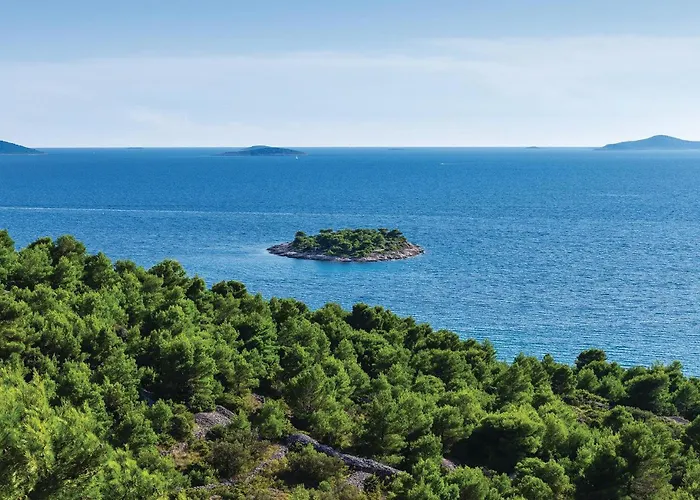 Amazing In With Wifi Murter